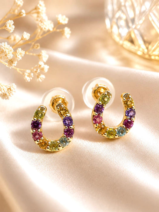 NBJ Horseshoe Multicolor Stud Earrings